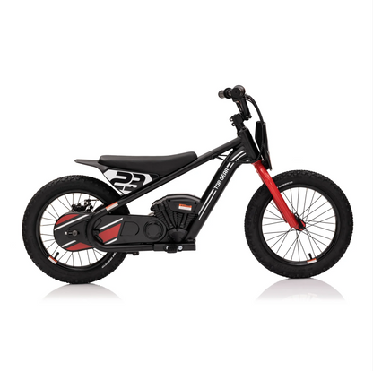 Rafmagnshjól jafnvægishjól 250W Brushless Motor 24V götu/torfæru !