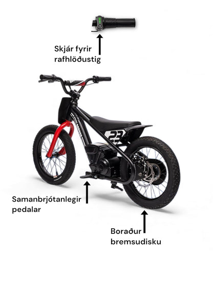 Rafmagnshjól jafnvægishjól 250W Brushless Motor 24V götu/torfæru !